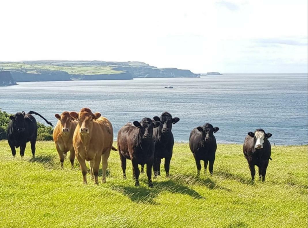 Tornabodagh House Ballycastle Kültér fotó
